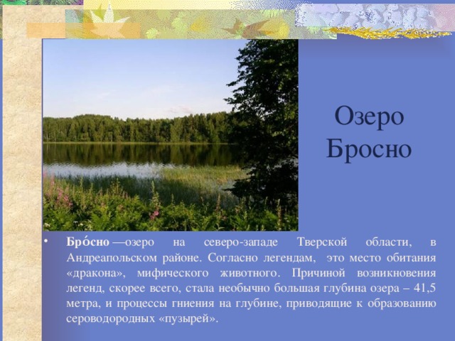 Озеро бросна. Бросно озеро Тверская. Озеро Бросно в Тверской области. Озеро Бросно Андреапольский район. Бросно озеро Тверская область на карте.