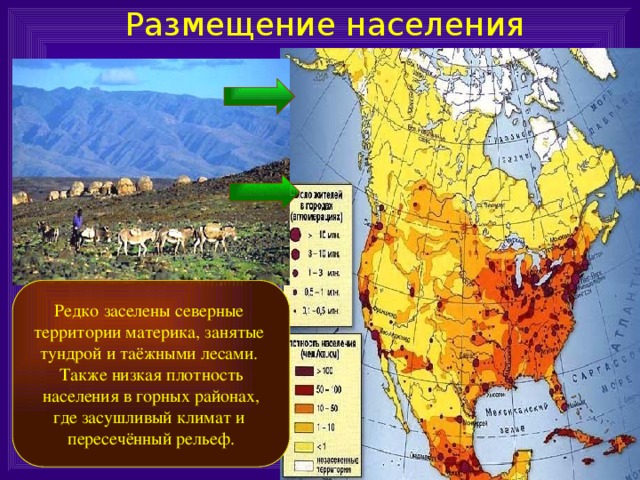 Размещение населения Редко заселены северные территории материка, занятые тундрой и таёжными лесами. Также низкая плотность  населения в горных районах, где засушливый климат и пересечённый рельеф. 