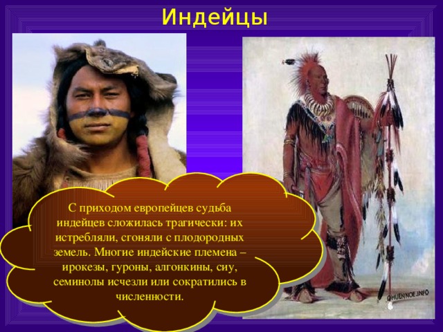 Индейцы С приходом европейцев судьба индейцев сложилась трагически: их истребляли, сгоняли с плодородных земель. Многие индейские племена – ирокезы, гуроны, алгонкины, сиу, семинолы исчезли или сократились в численности. 