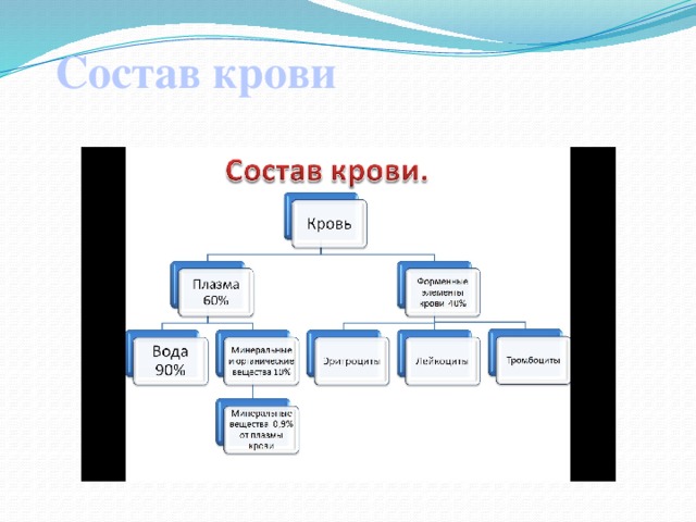 Состав крови схема 7 класс