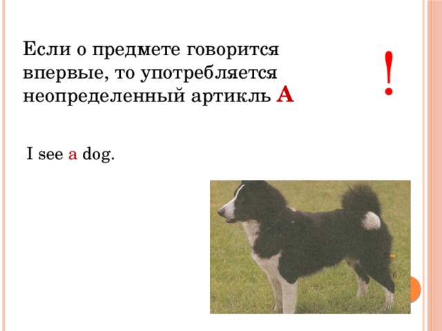 Если о предмете говорится впервые, то употребляется неопределенный артикль ! A I see a dog. 