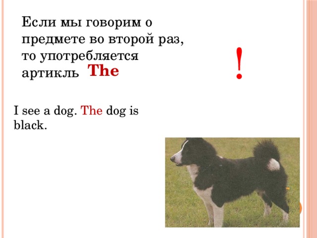 Eсли мы говорим о предмете во второй раз, то употребляется артикль ! The I see a dog. The dog is black. 