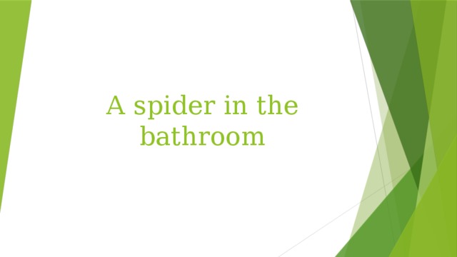 А spider in the bathroom 