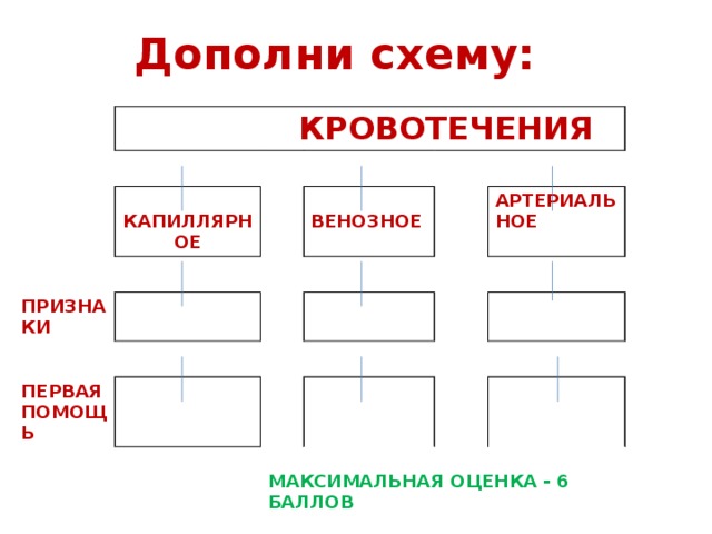  Дополни схему:  КРОВОТЕЧЕНИЯ  КАПИЛЛЯРНОЕ ПРИЗНАКИ ПЕРВАЯ  ВЕНОЗНОЕ ПОМОЩЬ АРТЕРИАЛЬНОЕ  МАКСИМАЛЬНАЯ ОЦЕНКА - 6 БАЛЛОВ 