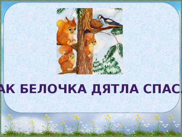 Как белочка дятла спасла
