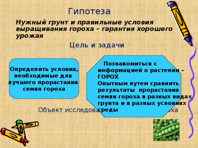 Разведение гипотеза. Выращивание гороха в разных условиях цели: задачи:. Цель для проекта выращивания гороха в различных условиях. Как делать условие в задаче при посеве гороха.