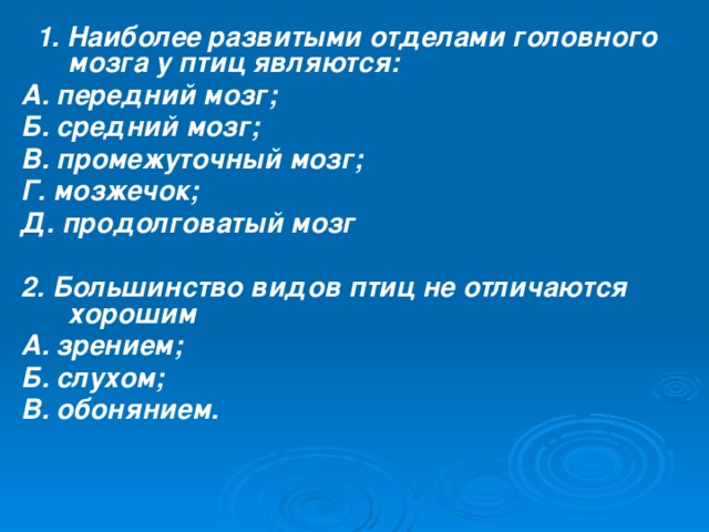 Основные виды планов запиши лишнее а общий б мелкий в средний г крупный