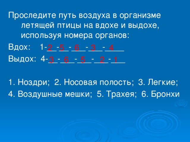 Среди предложений 15 17 найдите предложение которое соответствует данной схеме вдох выдох