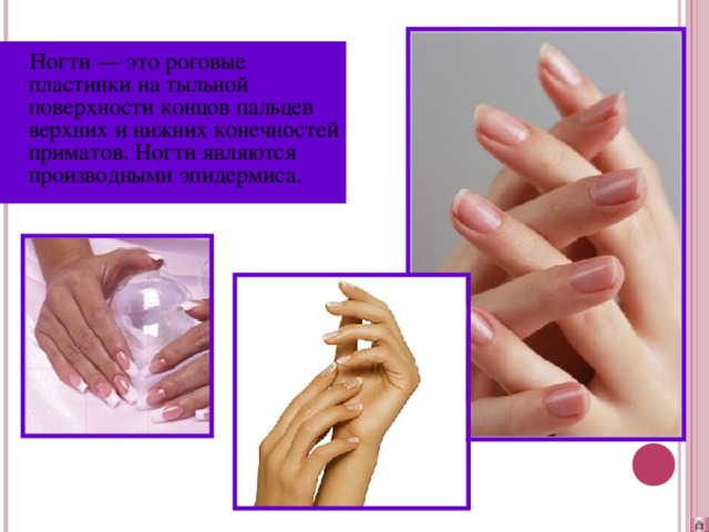 Как правильно ухаживать за волосами и кожей рук и ногтями
