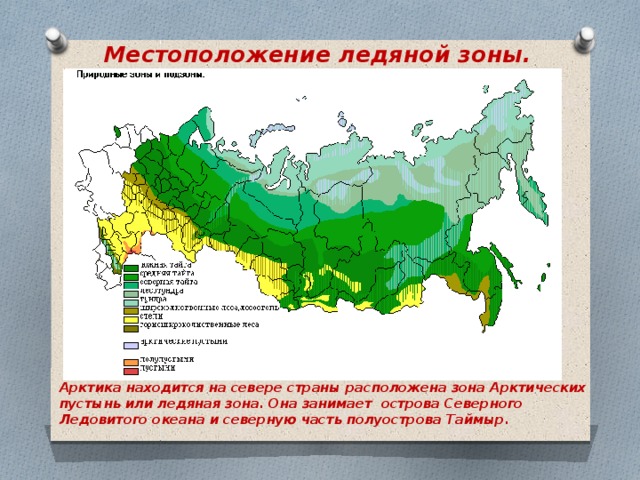 В какой природной зоне расположен омск. Зона арктических пустынь на карте. Место расположения Арктики.