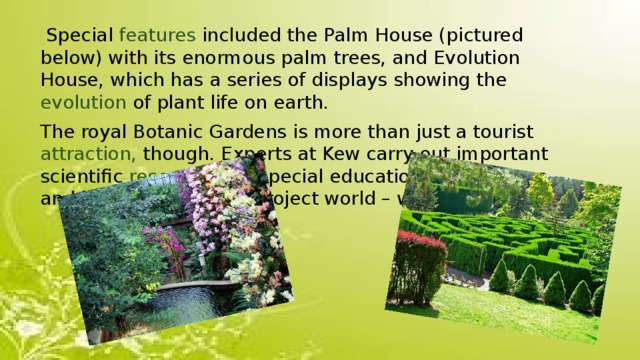  Special features included the Palm House (pictured below) with its enormous palm trees, and Evolution House, which has a series of displays showing the evolution of plant life on earth. The royal Botanic Gardens is more than just a tourist attraction, though. Experts at Kew carry out important scientific research , run special education programmes, and help conservation project world – wide. 