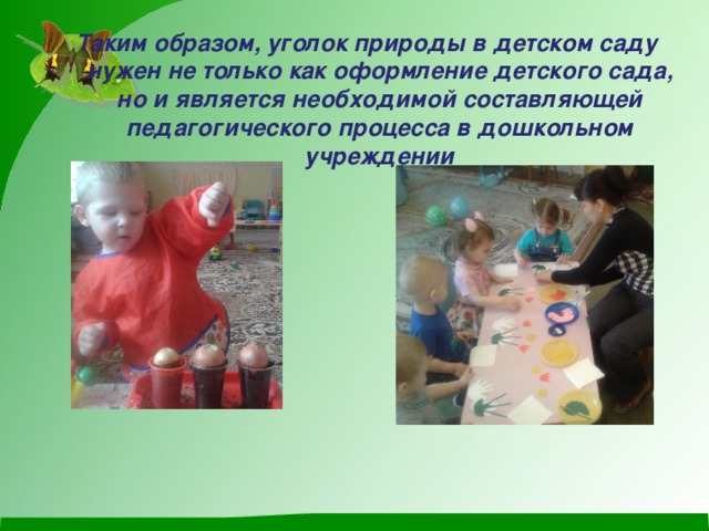 Уголок природы в ясельной группе по фгос что должно быть. Смотреть фото Уголок природы в ясельной группе по фгос что должно быть. Смотреть картинку Уголок природы в ясельной группе по фгос что должно быть. Картинка про Уголок природы в ясельной группе по фгос что должно быть. Фото Уголок природы в ясельной группе по фгос что должно быть