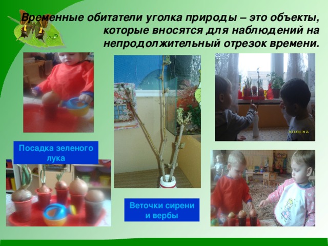 Уголок природы в ясельной группе по фгос что должно быть. Смотреть фото Уголок природы в ясельной группе по фгос что должно быть. Смотреть картинку Уголок природы в ясельной группе по фгос что должно быть. Картинка про Уголок природы в ясельной группе по фгос что должно быть. Фото Уголок природы в ясельной группе по фгос что должно быть