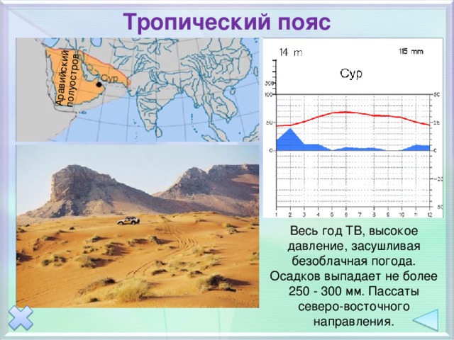 Определите по рисунку сколько дней из данного периода выпадало более 3 миллиметров осадков