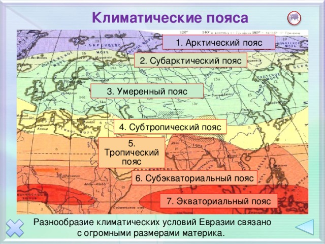 Картинки субтропического пояса