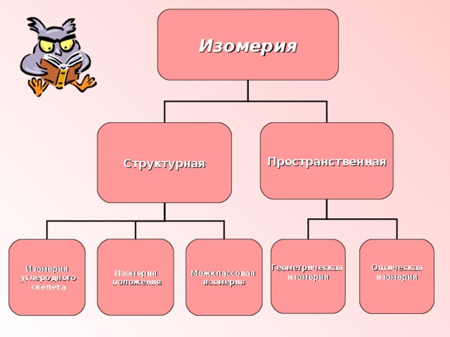 Изомерия Структурная Пространственная Изомерия  положения Межклассовая изомерия Изомерия  углеродного  скелета Геометрическая изомерия  Оптическая изомерия  