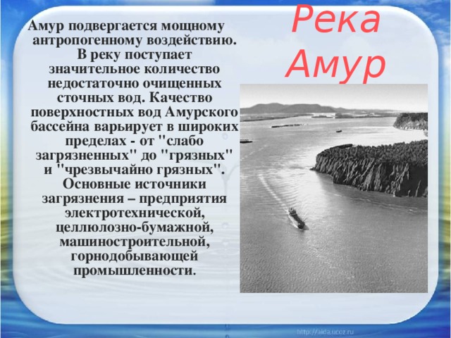 Амур подвергается мощному антропогенному воздействию. В реку поступает значительное количество недостаточно очищенных сточных вод. Качество поверхностных вод Амурского бассейна варьирует в широких пределах - от 