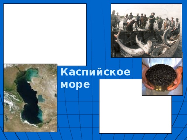 Туризм – один из возможных способов использования морей Экология морей Океан - источник воды  для опреснения, «кухня погоды»… Возможности морей практически безграничны Транспортное использование Ловля рыбы Наиболее загрязненными являются – Балтийское, Азовское, Черное и Японское моря. Их загрязняют отходы от транспорта, выбросы от предприятий, бытовой мусор, аварии судов. Каспийское море Добыча полезных ископаемых  на шельфе  Ловля морских организмов, млекопитающих, водорослей Использование энергии  приливов и ветра             