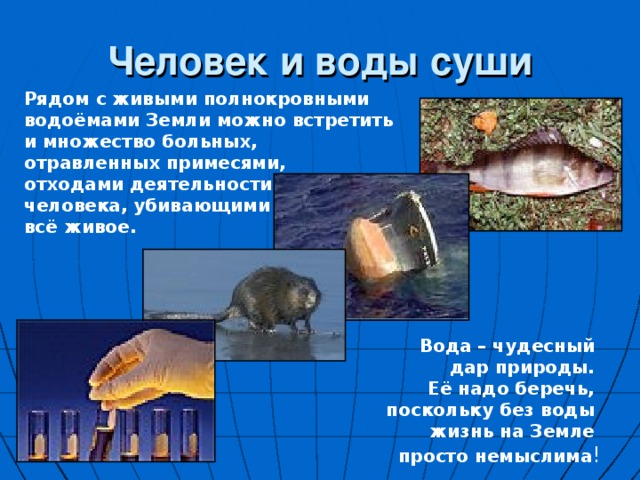  Ловля морских организмов, млекопитающих, водорослей 