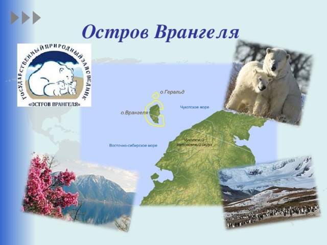 Что такое острова и полуострова 6 класс видеоурок. Смотреть фото Что такое острова и полуострова 6 класс видеоурок. Смотреть картинку Что такое острова и полуострова 6 класс видеоурок. Картинка про Что такое острова и полуострова 6 класс видеоурок. Фото Что такое острова и полуострова 6 класс видеоурок