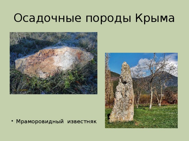 Осадочные породы Крыма Мраморовидный известняк 