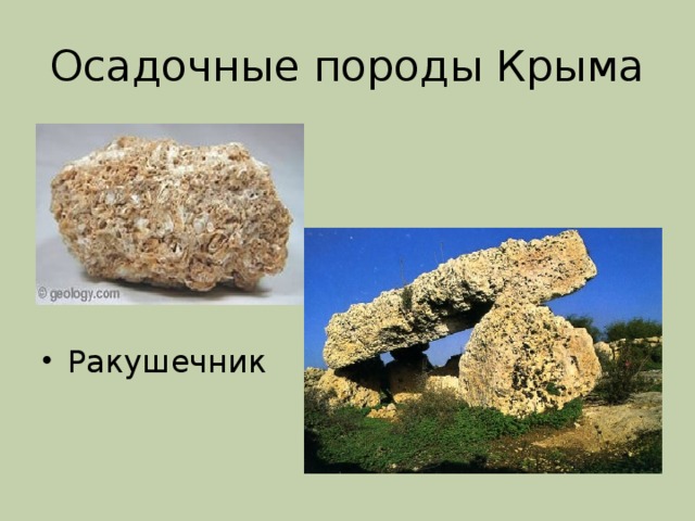 Осадочные породы Крыма Ракушечник 