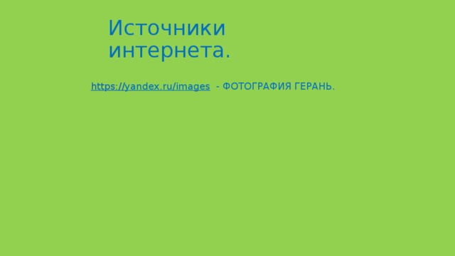 Источники интернета. https:// yandex.ru/images  - ФОТОГРАФИЯ ГЕРАНЬ. 
