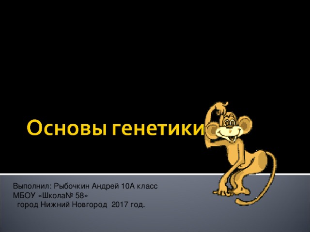 Выполнил: Рыбочкин Андрей 10А класс МБОУ «Школа№ 58»  город Нижний Новгород 2017 год. 