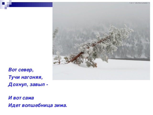 Вот север,   Тучи нагоняя, Дохнул, завыл - И вот сама Идет волшебница зима. 