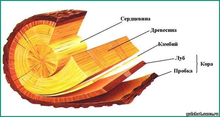 Срез первых и срез последних 1с как это работает