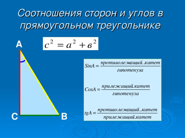 Соотношения сторон и углов в прямоугольном треугольнике А  В С 