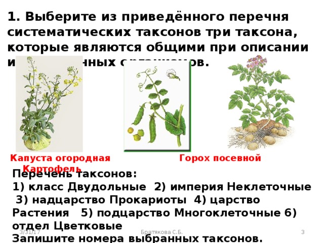 Выберите из приведенного перечня веществ. Классификация гороха посевного. Горох посевной Подцарство. Горох таксоны. Перечня систематических таксонов.