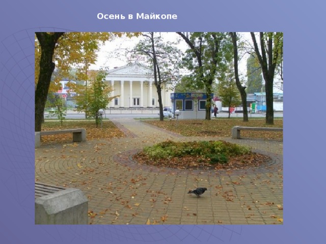 Осень в Майкопе 