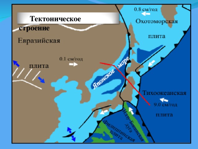 Тектоническая схема сахалина