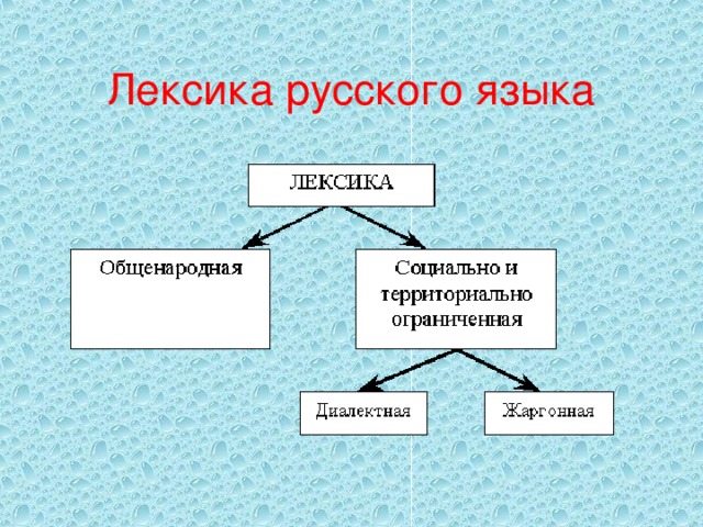 Лексика русского языка 