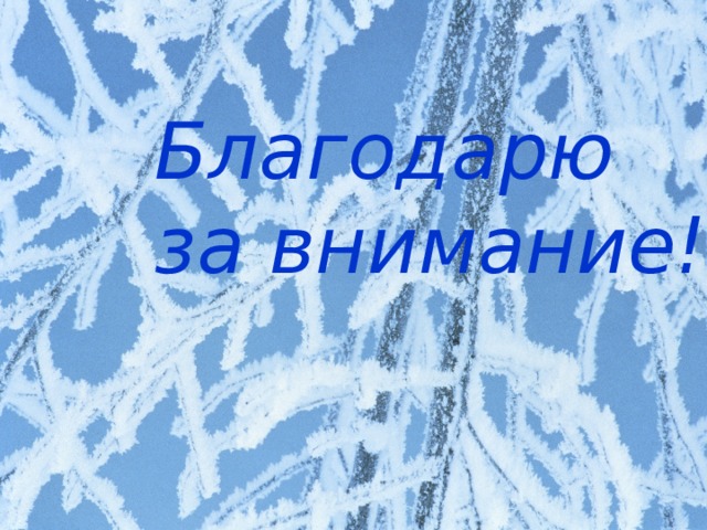 Благодарю за внимание!!! 