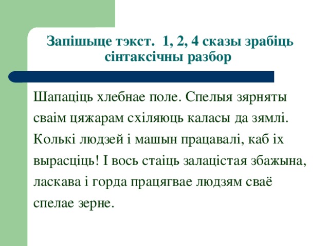 Запішыце тэкст. 1, 2, 4 сказы зрабіць сінтаксічны разбор  Шапаціць хлебнае поле. Спелыя зярняты сваім цяжарам схіляюць каласы да зямлі. Колькі людзей і машын працавалі, каб іх вырасціць! І вось стаіць залацістая збажына, ласкава і горда працягвае людзям сваё спелае зерне. 