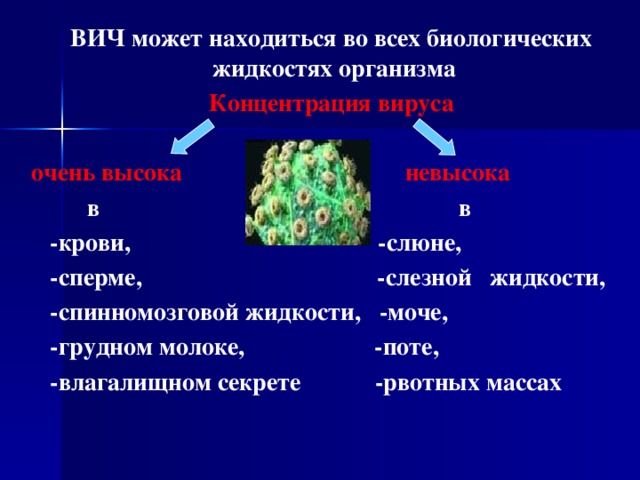 ВИЧ может находиться во всех биологических жидкостях организма  Концентрация вируса  очень высока невысока  в в  -крови, -слюне,  -сперме, -слезной жидкости,  -спинномозговой жидкости, -моче,  -грудном молоке, -поте,  -влагалищном секрете -рвотных массах  