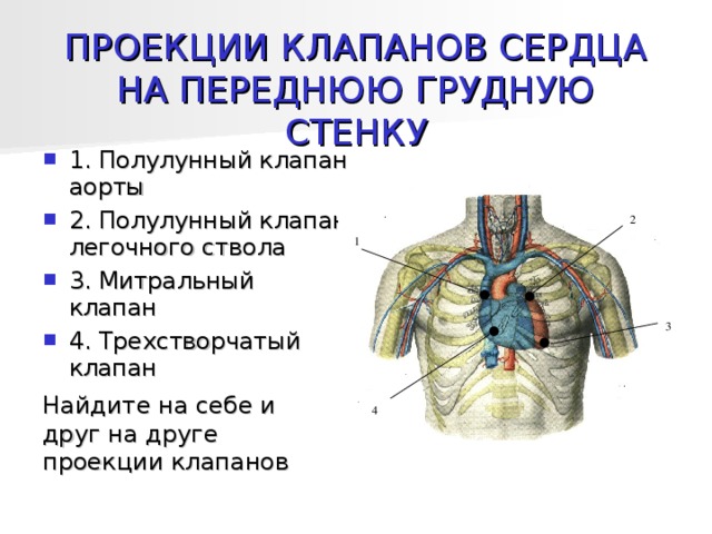 Атеросклероз аорты клапанов сердца