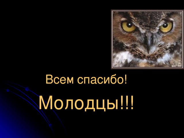 Всем спасибо! Молодцы!!!