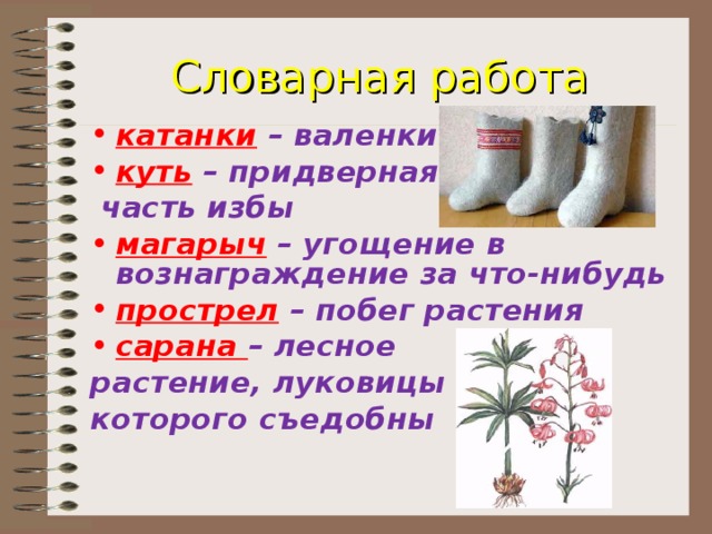 Словарная работа катанки – валенки куть  – придверная  часть избы магарыч – угощение в вознаграждение за что-нибудь прострел  – побег растения сарана – лесное растение, луковицы которого съедобны 