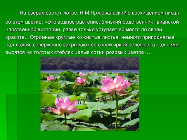 Составь план пересказа текста об исследовании уссурийской тайги и приморья в к арсеньевым