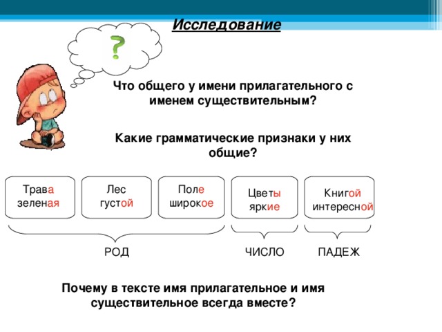 Грамматические признаки прилагательного