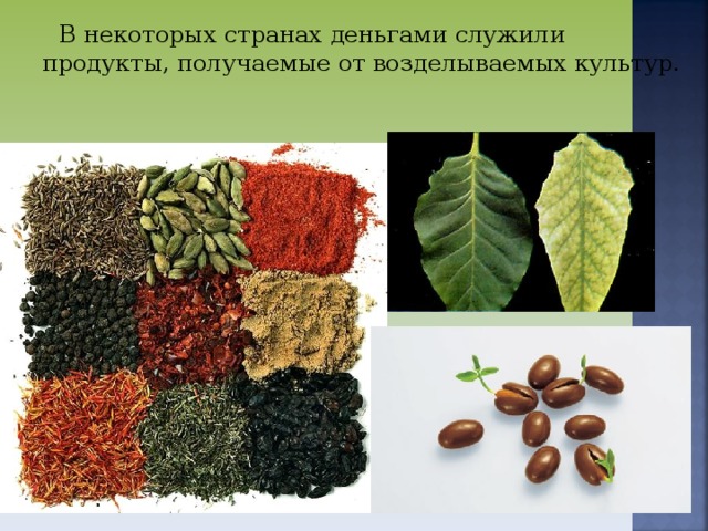 В некоторых странах деньгами служили продукты, получаемые от возделываемых культур.