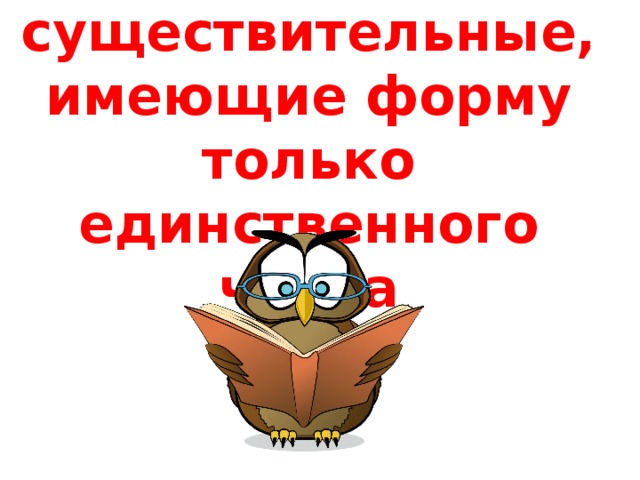 Имена существительные имеющие форму только единственного числа 5 класс презентация