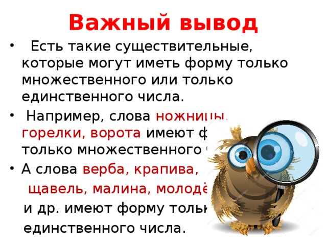 Имена существительные имеющие форму только единственного числа 5 класс презентация