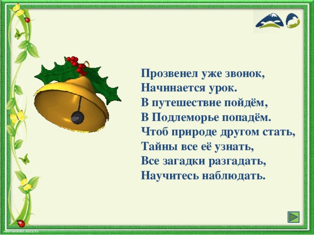 Прозвенел уже звонок, Начинается урок. В путешествие пойдём, В Подлеморье попадём. Чтоб природе другом стать, Тайны все её узнать, Все загадки разгадать, Научитесь наблюдать.