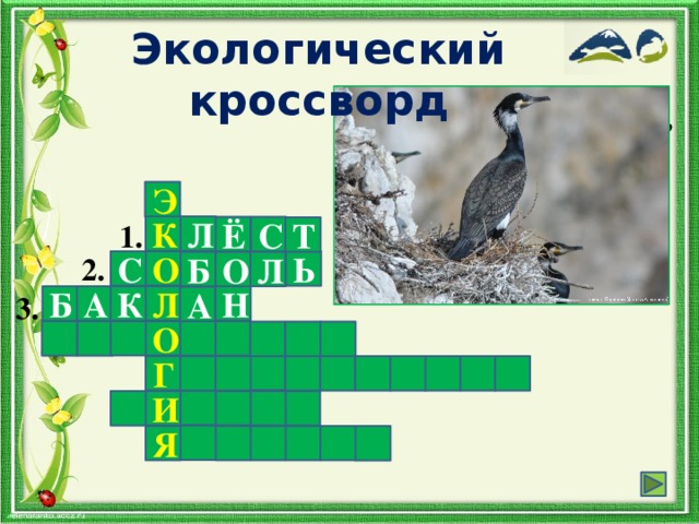 Водоплавающая птица кроссворд тезка приема