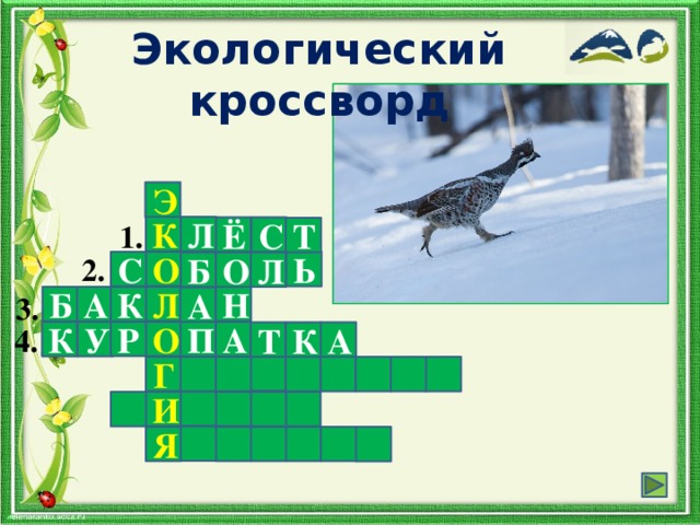Экологический кроссворд Эти птицы на ночлег В голубой нырнули снег. И до самого рассвета Птицам снилось лето. Э 1. К Л С Ё Т 2. О Ь С О Л Б 3. Н Л А Б К А 4. Р О К У А П К Т А Г И Я