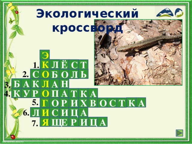 Экологический кроссворд Бегает среди камней, Не угонишься за ней. Ухватил за хвост, но ах! Удрала, а хвост в руках. Э 1. К Л С Ё Т 2. О С Ь О Б Л 3. Л Н А Б К А 4. Р О К У А П А Т К 5. А К И Г Р С Т Х В О О 6. С И И Ц А Л 7. Щ Я Е Ц И Р А